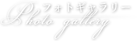 フォトギャラリー
